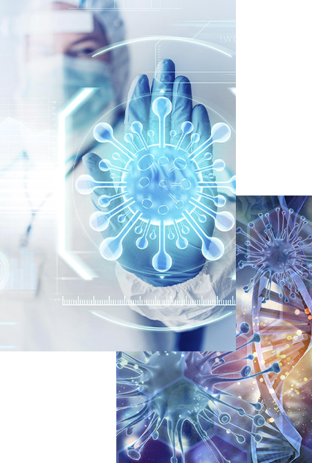 Immune system research and cellular protection